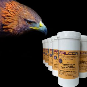 Falcon – FlyBoost